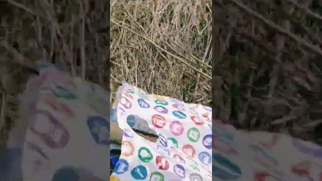 Посадила веточки вербы смотреть онлайн