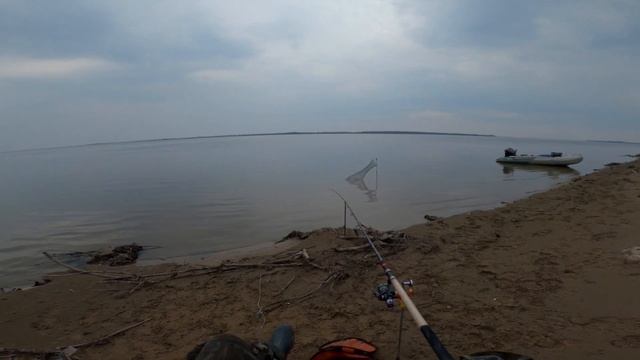 Лещ найден. Отличная рыбалка на дальних протоках. смотреть онлайн