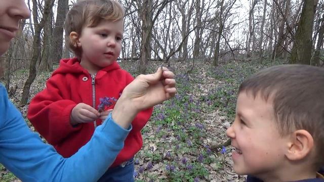 В гостях у шампиньонов