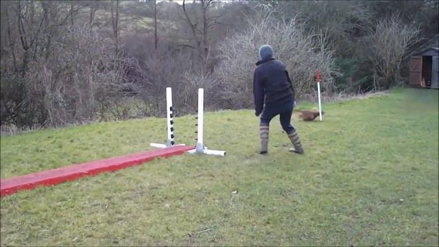 Whirli & Dazzle - Contact Games смотреть онлайн