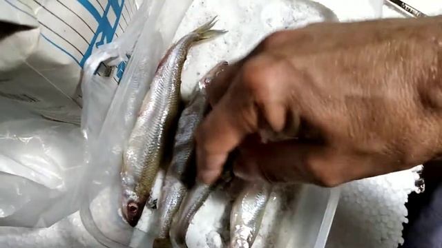 Посол Корюшки(рецепт). смотреть онлайн