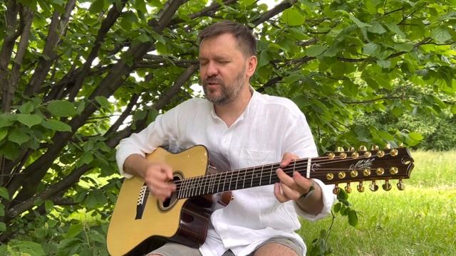 Песни Александра Розенбаума. (исп. В.Шамардин). На пикнике. Акустика смотреть онлайн