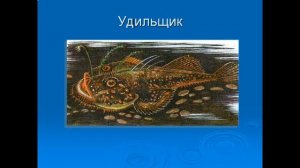 Внутреннее строение рыб