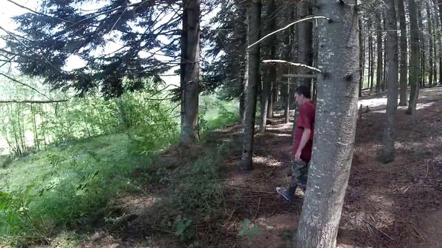 Кисловодск. Прогулка за грибами, фруктами и ягодами. смотреть онлайн