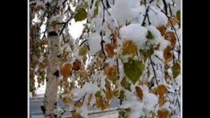 Первый снег Рома Жуков   минусовка