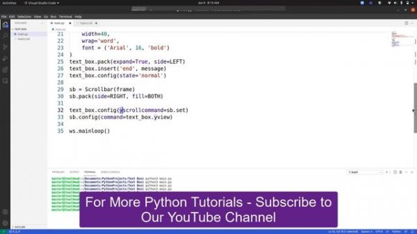 Python Tkinter Text Box Widget Example | Text Box Widget in Python Tkinter