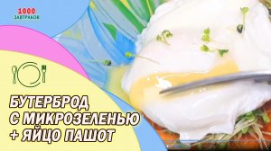 Бутерброд с микрозеленью и яйцом пашот / Яйцо пашот  рецепт приготовления