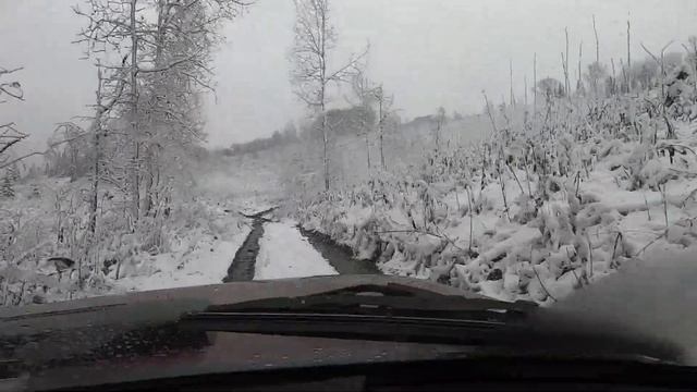 Первое ноября, на горах выпал снег. Едем в лес.