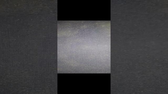 Анекдот про мартовских кошек58745