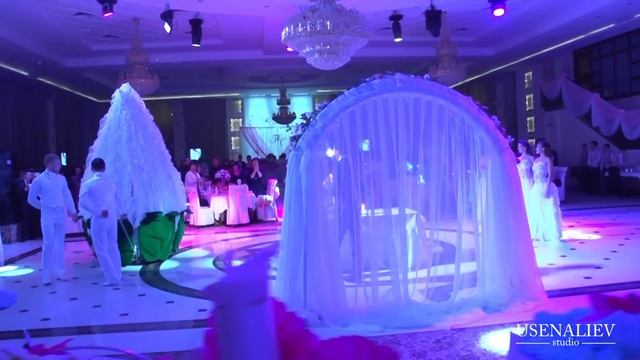 Свадьба в Бишкеке Выход Молодоженов www.alana-show.kg смотреть онлайн