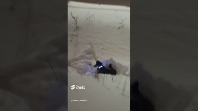 Гнездование?