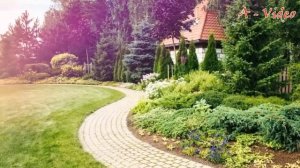 Дизайн сада своими руками Идеи для воплощения / DIY garden Ideas for implementation