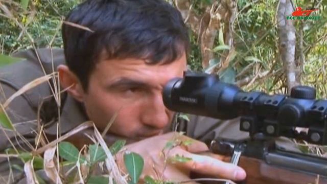 Охота анаконды смотреть онлайн