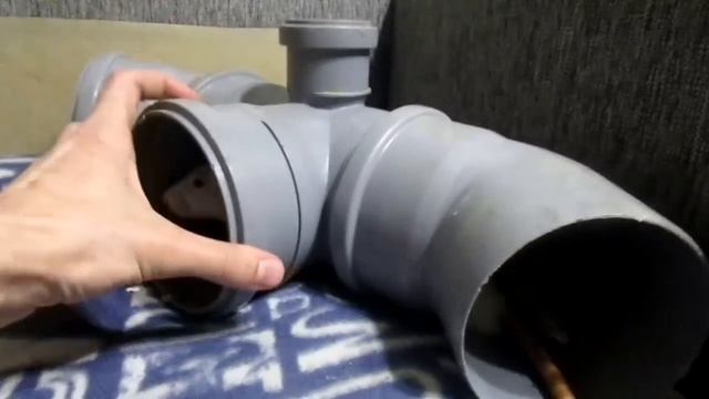 Крысы на "адреналине", или кто в стае хозяин! Хаси, и Нычик. (Fancy Rats | Декоративные Крысы) смотреть онлайн