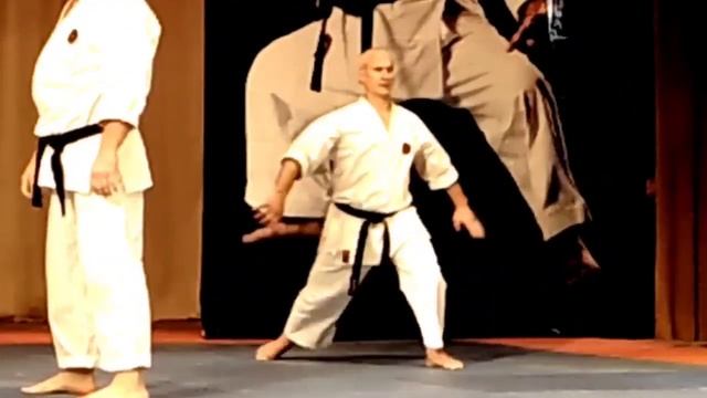 Bunkai Kumite Kata Sanseru, Festival Victor Panasyuk, 7 Dan IOGKF