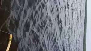 Рыбалка на Каме на кольцо, ловля леща с лодки