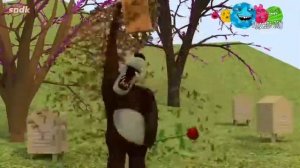 эфир канала ракосель