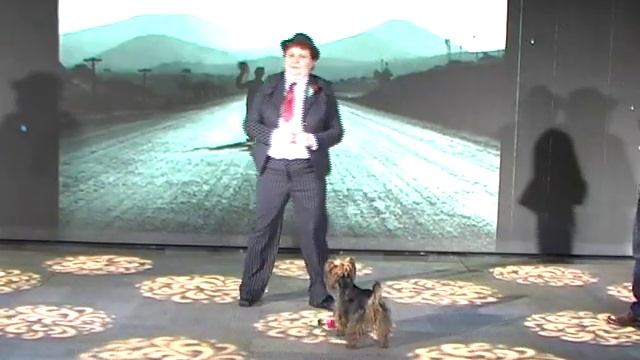 Я и Трикси. Танец "Чарли Чаплин" смотреть онлайн