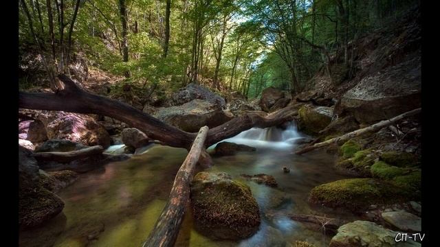 Летний отпуск в Крымских горах отменяется смотреть онлайн