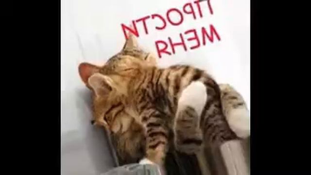 sorry времени не было делать видео смотреть онлайн