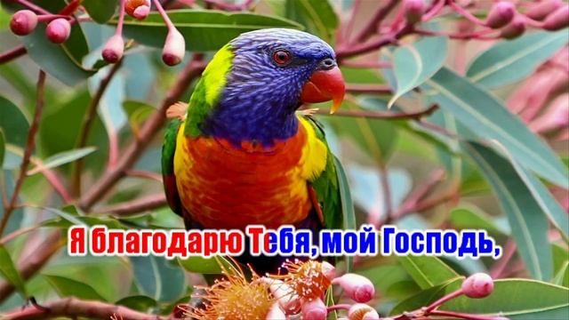 Кистью Творца созданы небеса -фонограмма (гр.Тропинка) смотреть онлайн