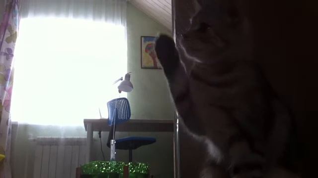 Кошка и фонтан смотреть онлайн