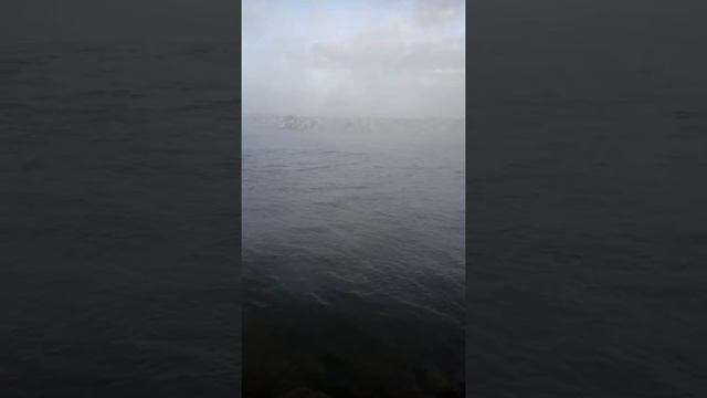 Сосновый бор сброс 13.01.2018г смотреть онлайн