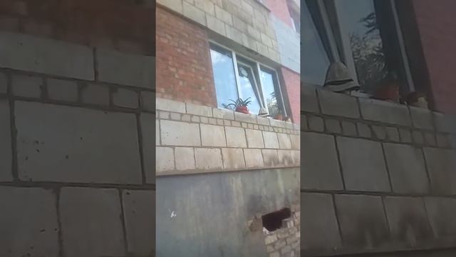 Жилая общага на тракторном ул.дяктерева г.Волгоград смотреть онлайн