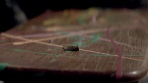 Quest Pistols Show- забудем всё.mp4