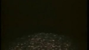 Валерий Шунт -  "Рассказ о двух попытках побега"