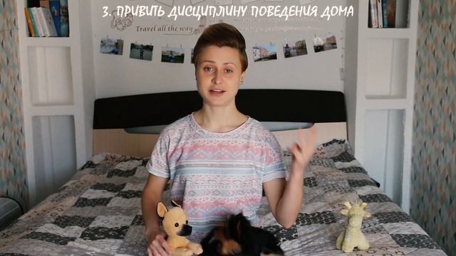 Как воспитывать щенка? О чем необходимо позаботиться в первые месяцы жизни йоркширского терьера смотреть онлайн