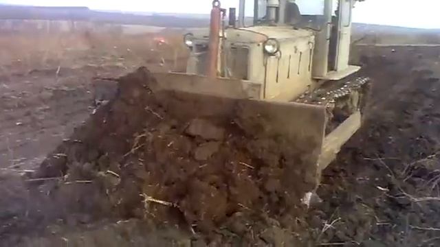 т74 и мтз80 планировка сада смотреть онлайн