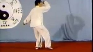 Чэнь Тайцзицюань, Чэнь Сяован, Лао Цзя И Лу