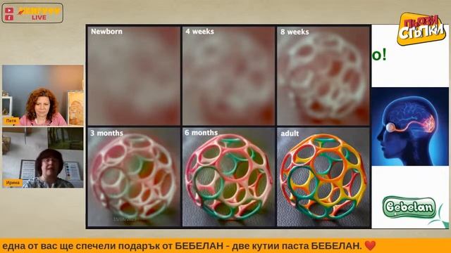 Алгоритъм за захранване смотреть онлайн