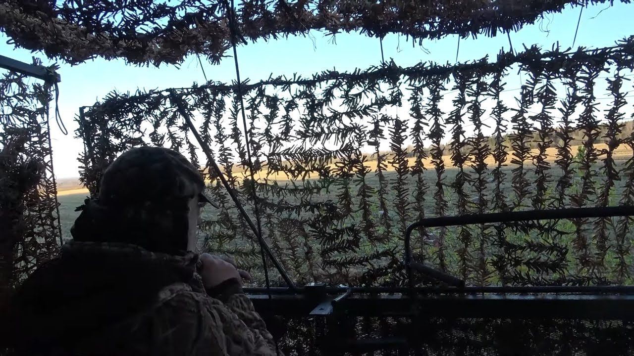 Охота на гуся с Кетнером #23.2 / Бретон собака-подавака смотреть онлайн