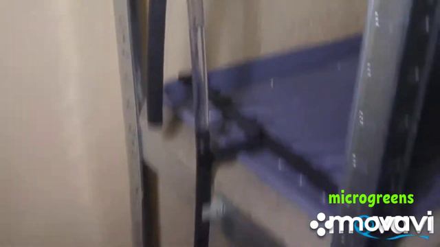 Стеллаж микрогорин | Гидропонная установка проверка системы смотреть онлайн