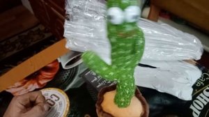 Танцующий кактус