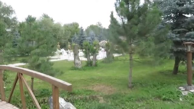 Vlog:тренинг,природа и Адема :) смотреть онлайн