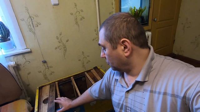 Улей лежак универсальный четырехматочная система готова! Для качественных запасных маток и отводков