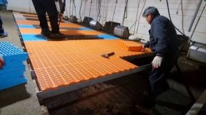 Делаем полы для свинарника