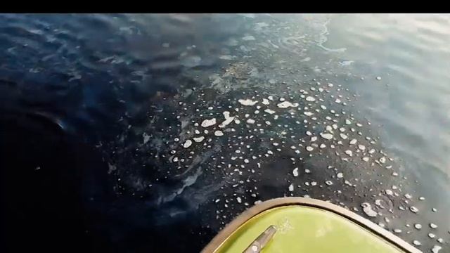 Наука на защите природы смотреть онлайн