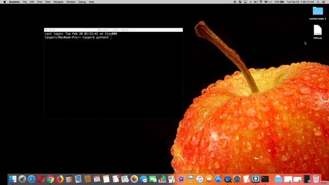 Boolean Values - Python - #3.4 Complete Python Course from Basic to Brilliance смотреть онлайн
