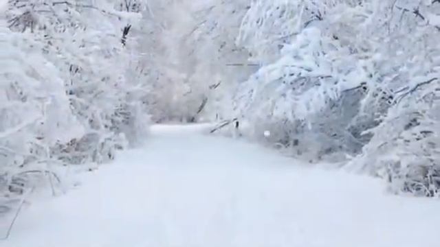 Видио про мамонтов. Ржака??? смотреть онлайн