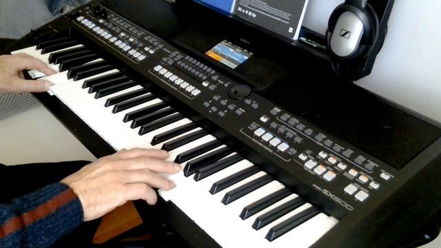 Kilimandscharo (Andrea Berg) cover by Henry, Yamaha PSR-sx600 смотреть онлайн