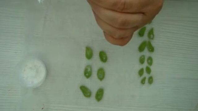 Мастер класс каменная роза (суккулент) из холодного фарфора. Часть№1 смотреть онлайн