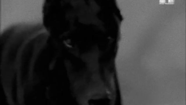 Jimmy Sommerville Here On Earth