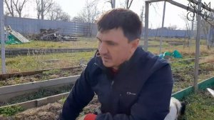 Оцинкованные грядки: первое впечатление