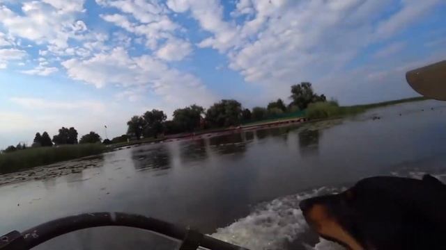 Страхолесье смотреть онлайн