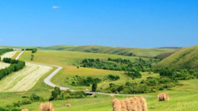 IZZY HOD שיר על אדמתי Zemlya