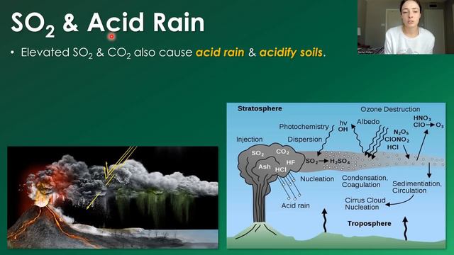 Mass Extinction Causes that Nobody Talks About! (& Addressing Comments ;) | GEO GIRL смотреть онлайн